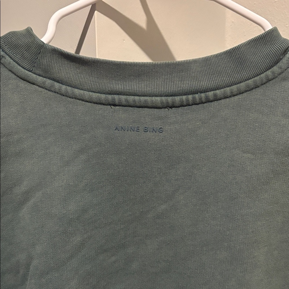 ANINE BING Oversized Crew Miles Sweatshirt Washed Sage Green Size Medium - Picture 6 of 7